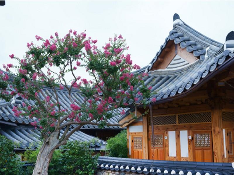 Dajeong Guesthouse Jeonju Exterior foto